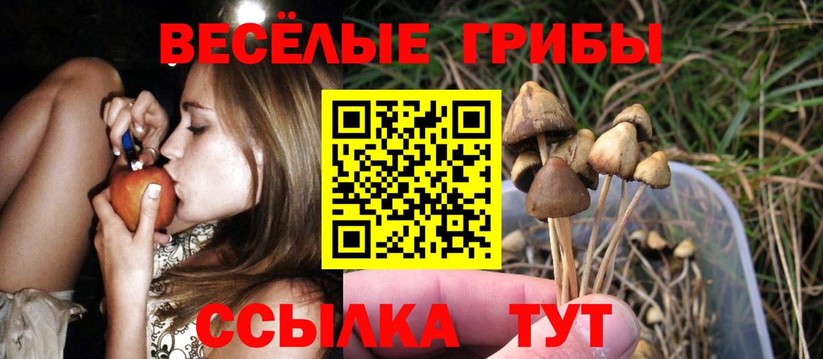 где купить наркотик  Псилоцибиновые грибы MAGIC MUSHROOMS  Вход с VPN  Шарыпово 